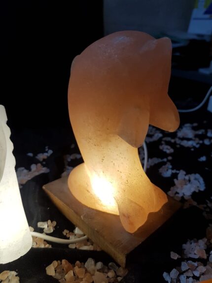 Dolphin Carved Himalayan Salt Lamp